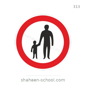 شاخصة المرور رقم 313